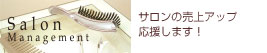 �T�����̔��グ�A�b�v�������܂�!